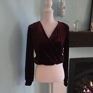 Dex NWT Velvet Blouse XS